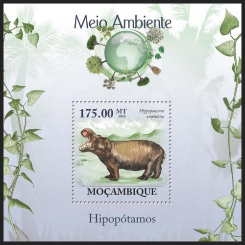 Poštovní známka Mosambik 2010 Hroch obojživelný Mi# Block 309 Kat 10€