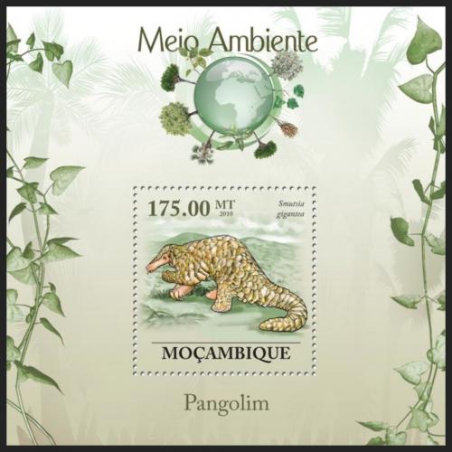 Poštovní známka Mosambik 2010 Luskoun velký Mi# Block 308 Kat 10€