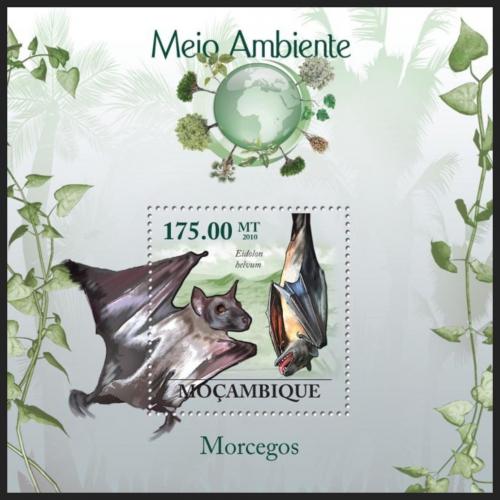 Poštovní známka Mosambik 2010 Netopýøi Mi# Block 303 Kat 10€