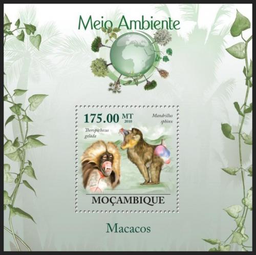 Poštovní známka Mosambik 2010 Opice Mi# Block 313 Kat 10€
