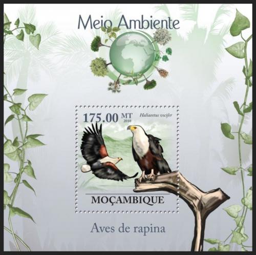 Poštovní známka Mosambik 2010 Orel jasnohlasý Mi# Block 294 Kat 10€