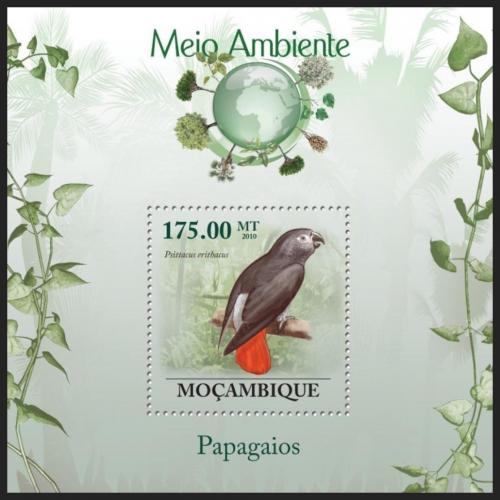 Poštovní známka Mosambik 2010 Papoušek šedý Mi# Block 295 Kat 10€