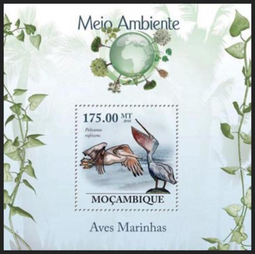 Poštovní známka Mosambik 2010 Pelikán africký Mi# Block 293 Kat 10€
