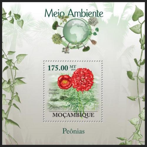 Poštovní známka Mosambik 2010 Pivoòky Mi# Block 289 Kat 10€