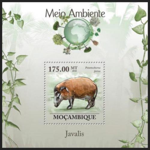 Poštovní známka Mosambik 2010 Štìtkoun africký Mi# Block 299 Kat 10€