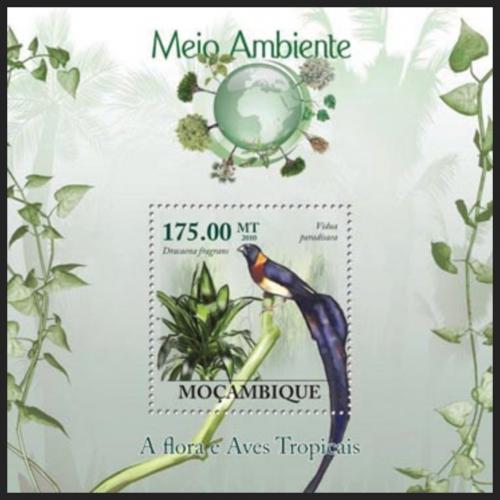 Poštovní známka Mosambik 2010 Vdovka rajská Mi# Block 292 Kat 10€