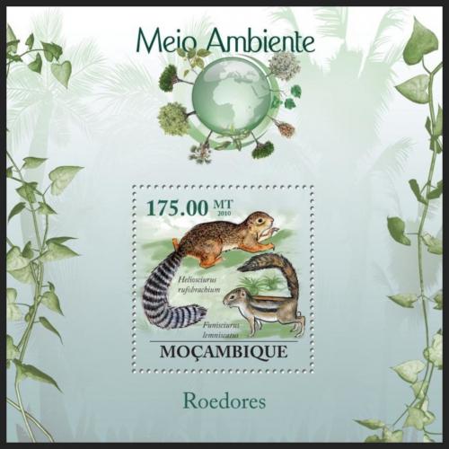 Poštovní známka Mosambik 2010 Veverky Mi# Block 296 Kat 10€