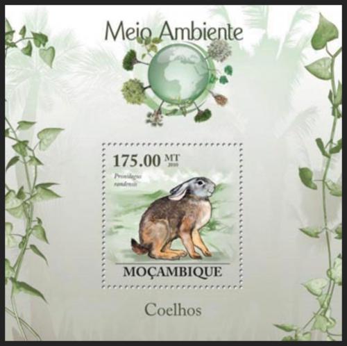 Poštovní známka Mosambik 2010 Zajíc Jamesonùv èervený Mi# Block 301 Kat 10€