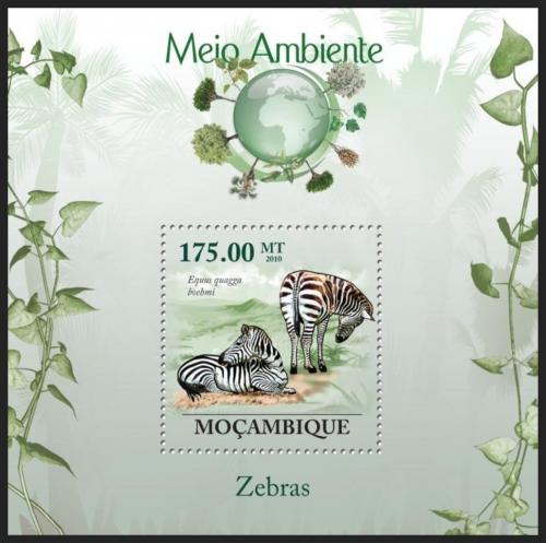 Poštovní známka Mosambik 2010 Zebra Böhmova Mi# Block 297 Kat 10€
