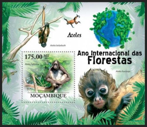 Poštovní známka Mosambik 2011 Chápan Mi# Block 431 Kat 10€