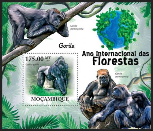 Poštovní známka Mosambik 2011 Gorila východní nížinná Mi# Block 432 Kat 10€
