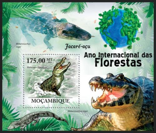 Poštovní známka Mosambik 2011 Kajman èerný Mi# Block 410 Kat 10€