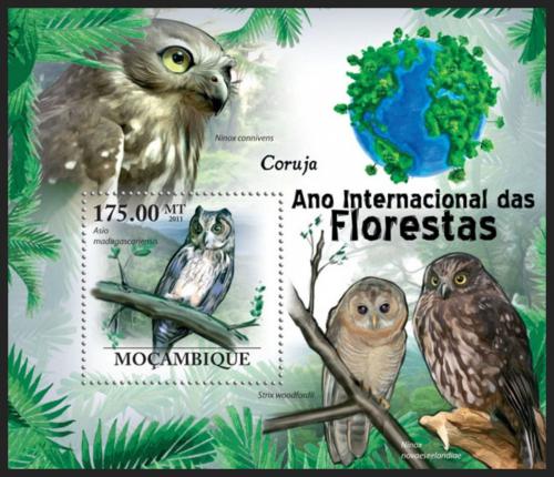Poštovní známka Mosambik 2011 Sovy Mi# Block 419 Kat 10€