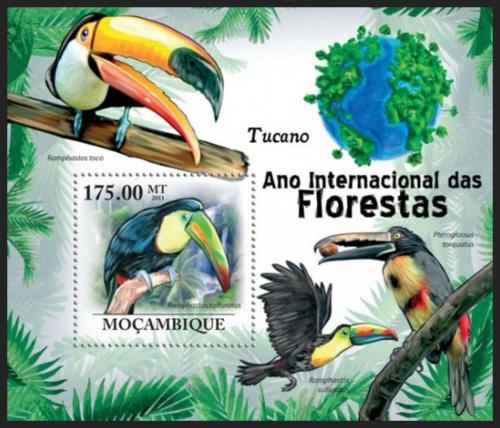 Poštovní známka Mosambik 2011 Tukani Mi# Block 417 Kat 10€