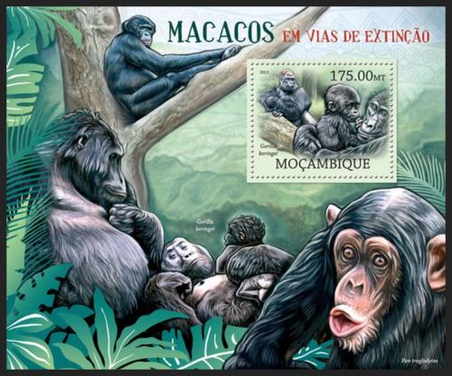Potovn znmka Mosambik 2012 Opice na cest k vyhynut Mi# Block 639 Kat 10