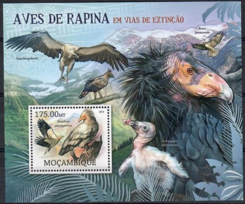 Poštovní známka Mosambik 2012 Dravci na cestì k vyhynutí Mi# Block 632 Kat 10€