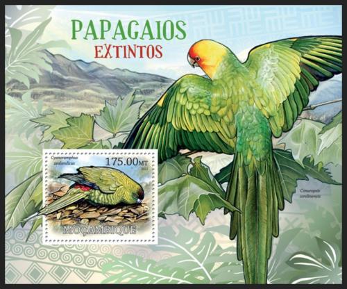 Poštovní známka Mosambik 2012 Vyhynulí papoušci Mi# Block 643 Kat 10€