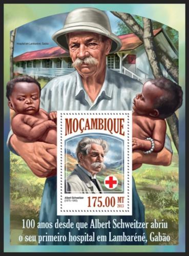 Poštovní známka Mosambik 2013 Albert Schweitzer Mi# Block 845 Kat 10€