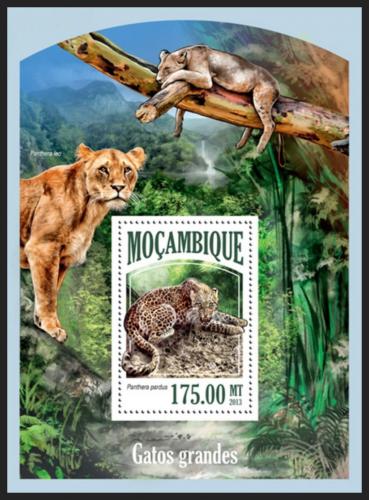 Poštovní známka Mosambik 2013 Koèkovité šelmy Mi# Block 835 Kat 10€