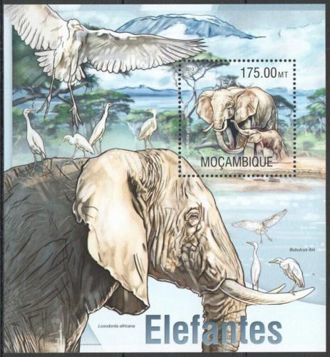 Poštovní známka Mosambik 2013 Sloni Mi# Block 779 Kat 10€