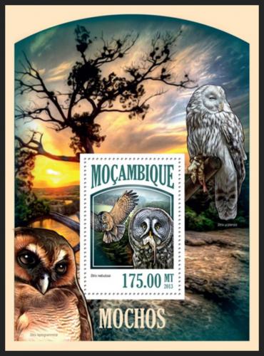 Poštovní známka Mosambik 2013 Sovy Mi# Block 803 Kat 10€