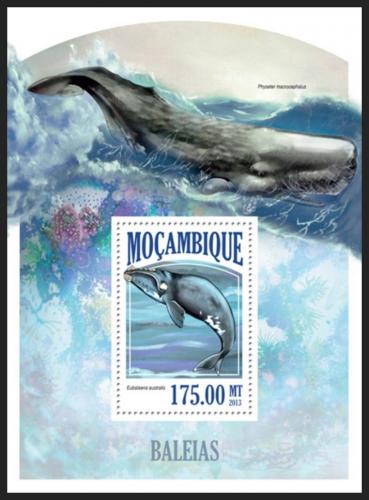 Poštovní známka Mosambik 2013 Velryby Mi# Block 805 Kat 10€