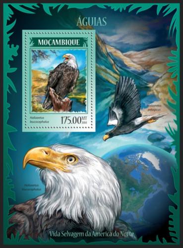 Poštovní známka Mosambik 2014 Orli Mi# Block 898 Kat 10€