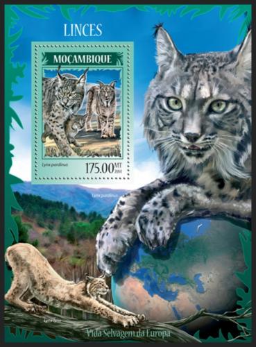 Poštovní známka Mosambik 2014 Rysi Mi# Block 912 Kat 10€