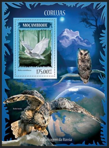 Poštovní známka Mosambik 2014 Sovy Mi# Block 899 Kat 10€