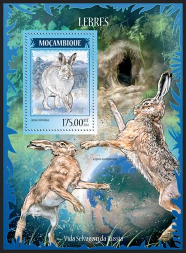 Poštovní známka Mosambik 2014 Zajíci Mi# Block 903 Kat 10€