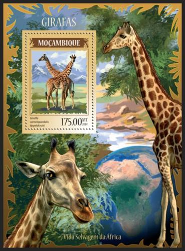 Poštovní známka Mosambik 2014 Žirafy Mi# Mi# Block 904 Kat 10€