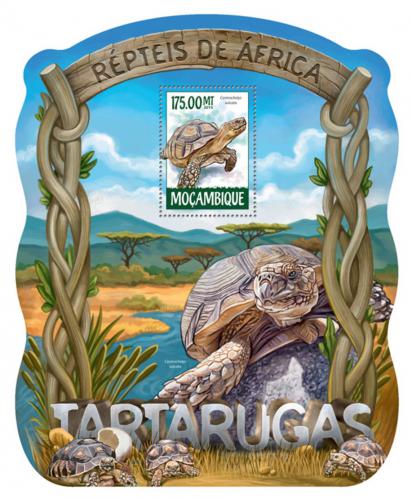 Poštovní známka Mosambik 2015 Želvy Mi# Block 1017 Kat 10€