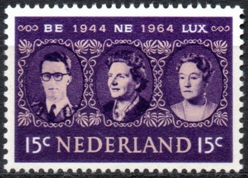 Poštovní známka Nizozemí 1964 Král a královna Mi# 829