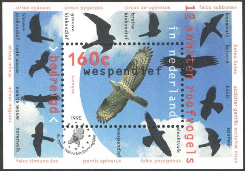 Poštovní známka Nizozemí 1995 Dravci Mi# Block 44