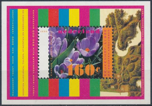 Poštovní známka Nizozemí 1996 Šafrán Mi# Block 47