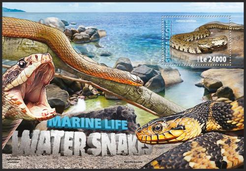 Poštovní známka Sierra Leone 2016 Hadi Mi# Block 943 Kat 11€