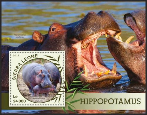 Poštovní známka Sierra Leone 2016 Hroši Mi# Block 909 Kat 11€