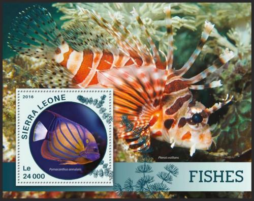 Poštovní známka Sierra Leone 2016 Ryby Mi# Block 896 Kat 11€