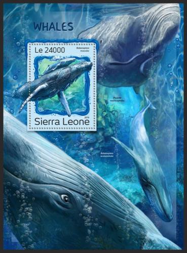Poštovní známka Sierra Leone 2016 Velryby Mi# Block 1130 Kat 11€
