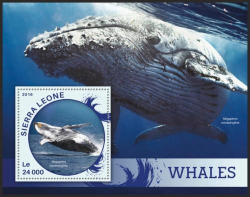 Poštovní známka Sierra Leone 2016 Velryby Mi# Block 905 Kat 11€
