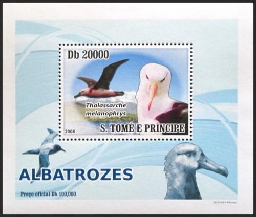 Potovn znmka Svat Tom 2008 Albatros DELUXE Mi# 3541 Block  - zvtit obrzek
