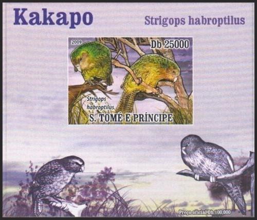 Potovn znmka Svat Tom 2009 Kakapo sov DELUXE neperf. Mi# 3886 B Block