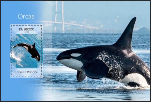 Poštovní známka Svatý Tomáš 2014 Kosatka dravá Mi# Block 1003 Kat 10€