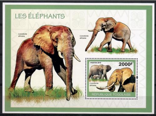 Poštovní známka Togo 2010 Sloni Mi# Block 506 Kat 8€