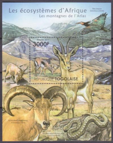 Poštovní známka Togo 2011 Fauna pohoøí Atlas Mi# Block 652 Kat 12€