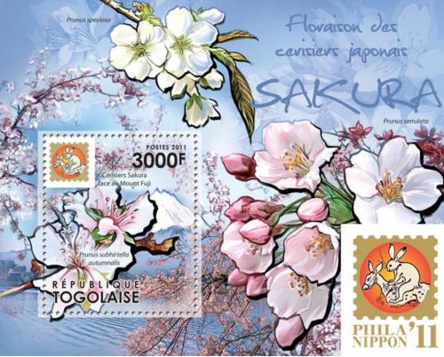 Poštovní známka Togo 2011 Sakury Mi# Block 623 Kat 12€