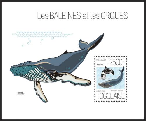 Poštovní známka Togo 2013 Velryby Mi# Block 853 Kat 10€ 
