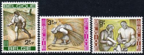 Poštovní známky Belgie 1963 Boj proti hladu Mi# 1303-05