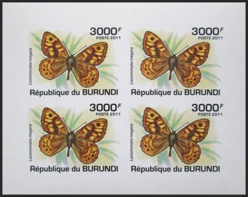 Potovn znmky Burundi 2011 Lasiommata megera neperf. Mi# 2121 B Bogen - zvtit obrzek