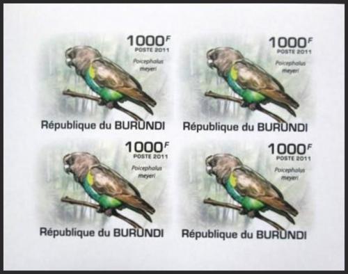 Potovn znmky Burundi 2011 Papouek lutotemenn neperf. Mi# 1975 B Bogen